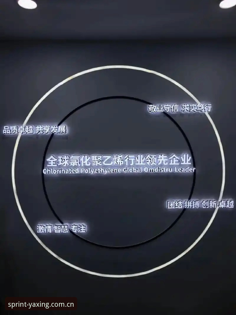 亚星体育安全吗 亚星体育平台安全性分析与使用指南:从新手到高手的完整攻略